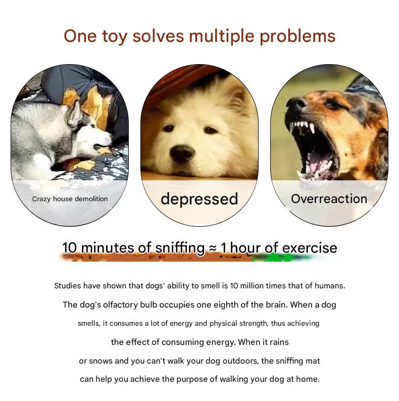 Interactive Dog Snuffle Ball Toy - Puzzle Treat Dispenser with Squeaker, blue pink