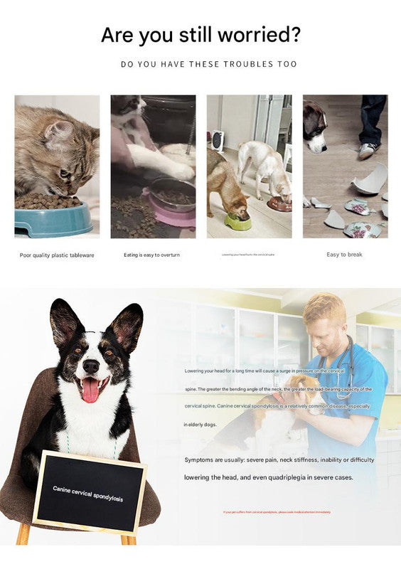 Elevated Pet Feeding Bowl with Stainless Steel Inner - Promotes Healthy Digestion & Reduces Neck Strain(Green)