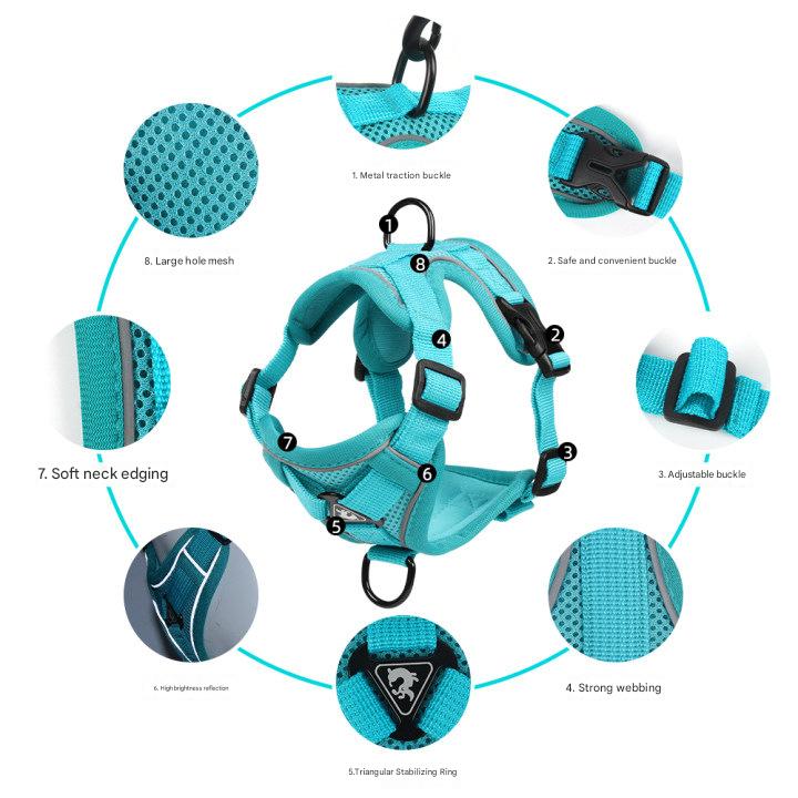 Blue Reflective Mesh Dog Harness and Leash Set - Adjustable No-Pull Vest - L