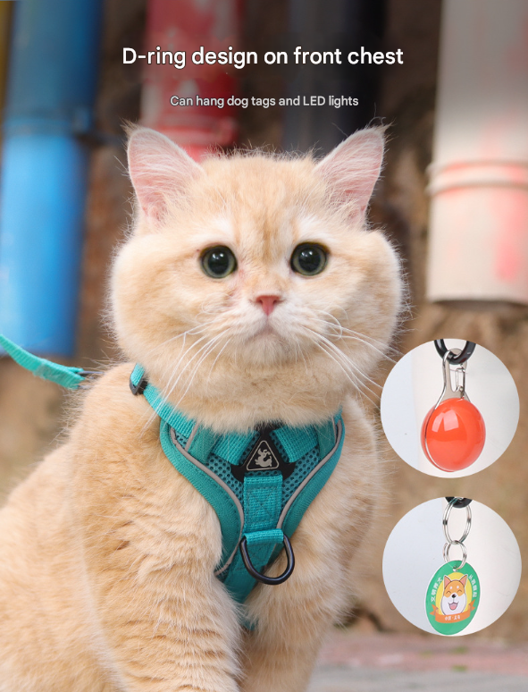 Rose Red Reflective Mesh Dog Harness and Leash Set - Adjustable No-Pull Vest - M