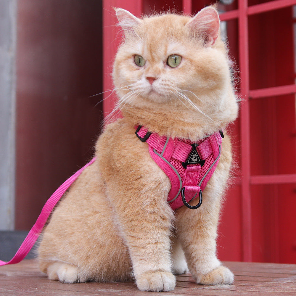 Rose Red Reflective Mesh Dog Harness and Leash Set - Adjustable No-Pull Vest - L