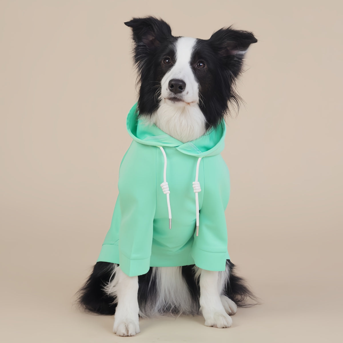 Green Classic Dog Sweatshirt with Hood &amp; Drawstrings - For Large Dogs (Size : XL)