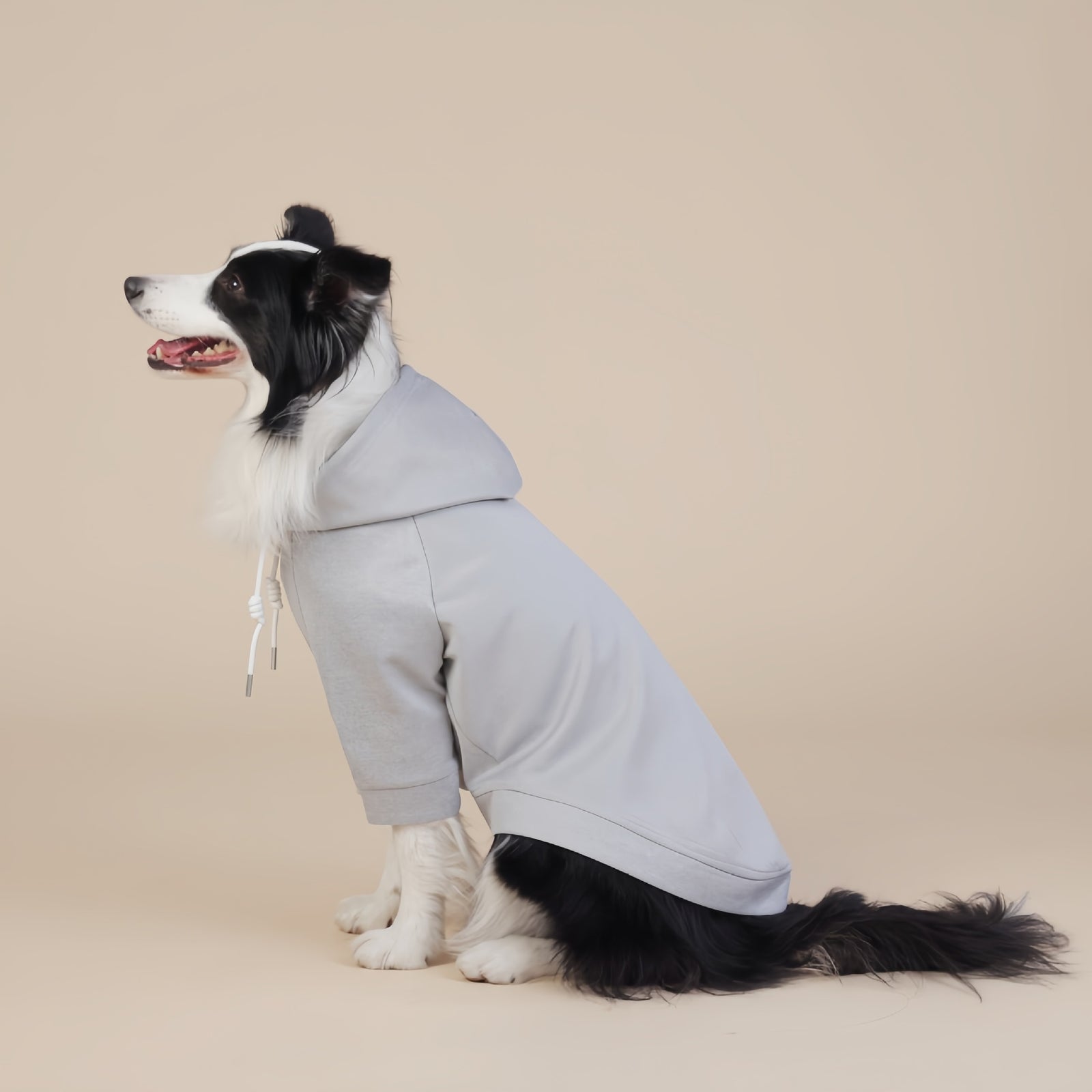 Grey Classic Dog Sweatshirt with Hood & Drawstrings - For Large Dogs (Size : 4XL)
