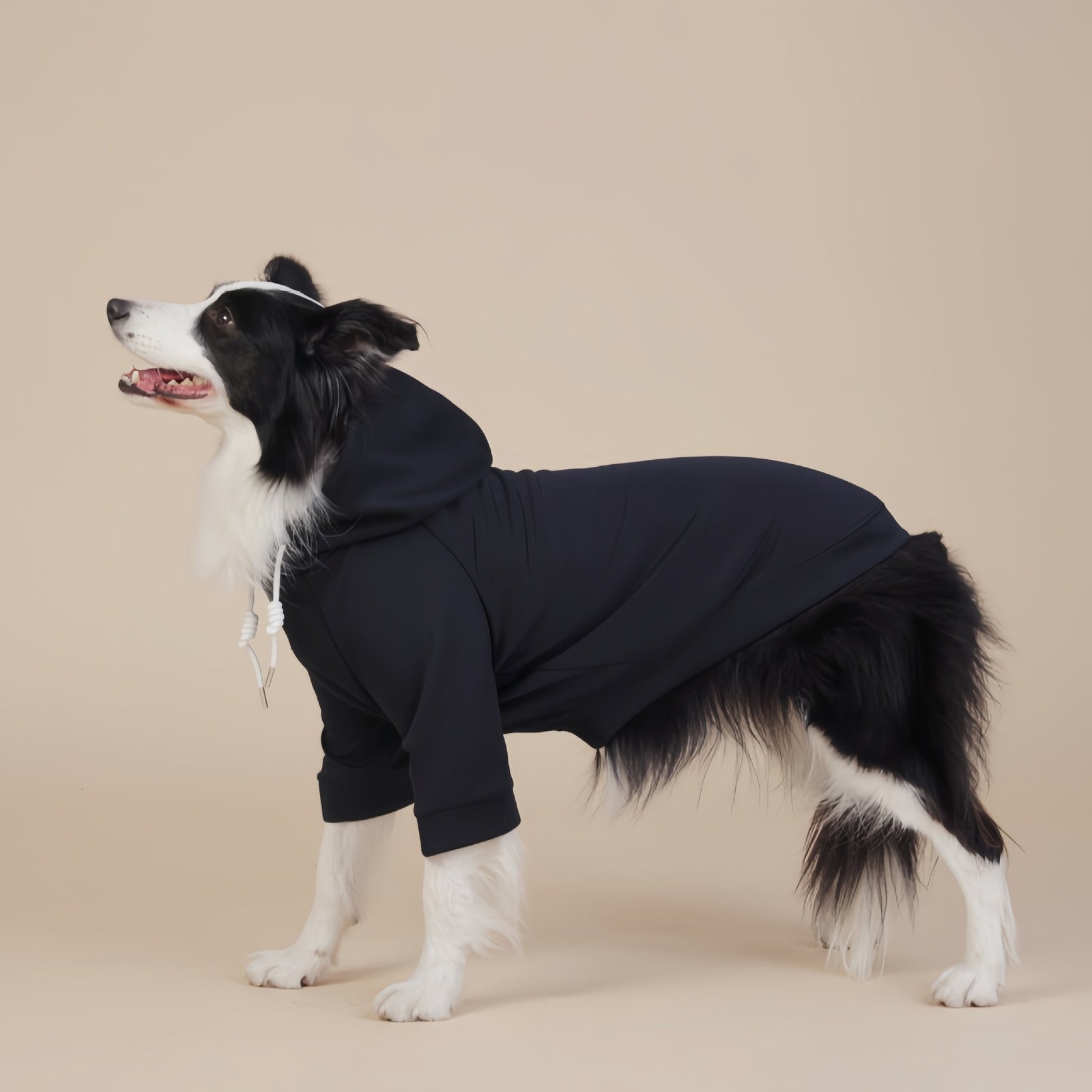 Black Classic Dog Sweatshirt with Hood & Drawstrings - For Large Dogs (Size : 2XL)