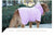 Pink Hooded Dog Bathrobe - Super Absorbent, Adjustable Fit, Cozy Pet Towel (Size : XS)
