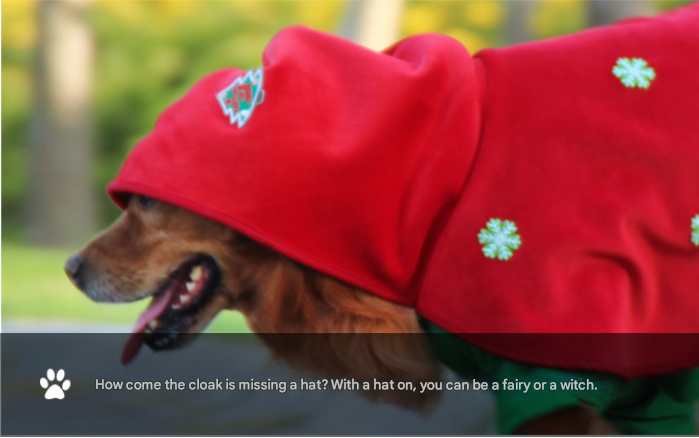 Christmas Dog Costume - Festive Hooded Cape & Green Jumpsuit Outfit (Size : M)