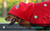 Christmas Dog Costume - Festive Hooded Cape & Green Jumpsuit Outfit (Size : L)