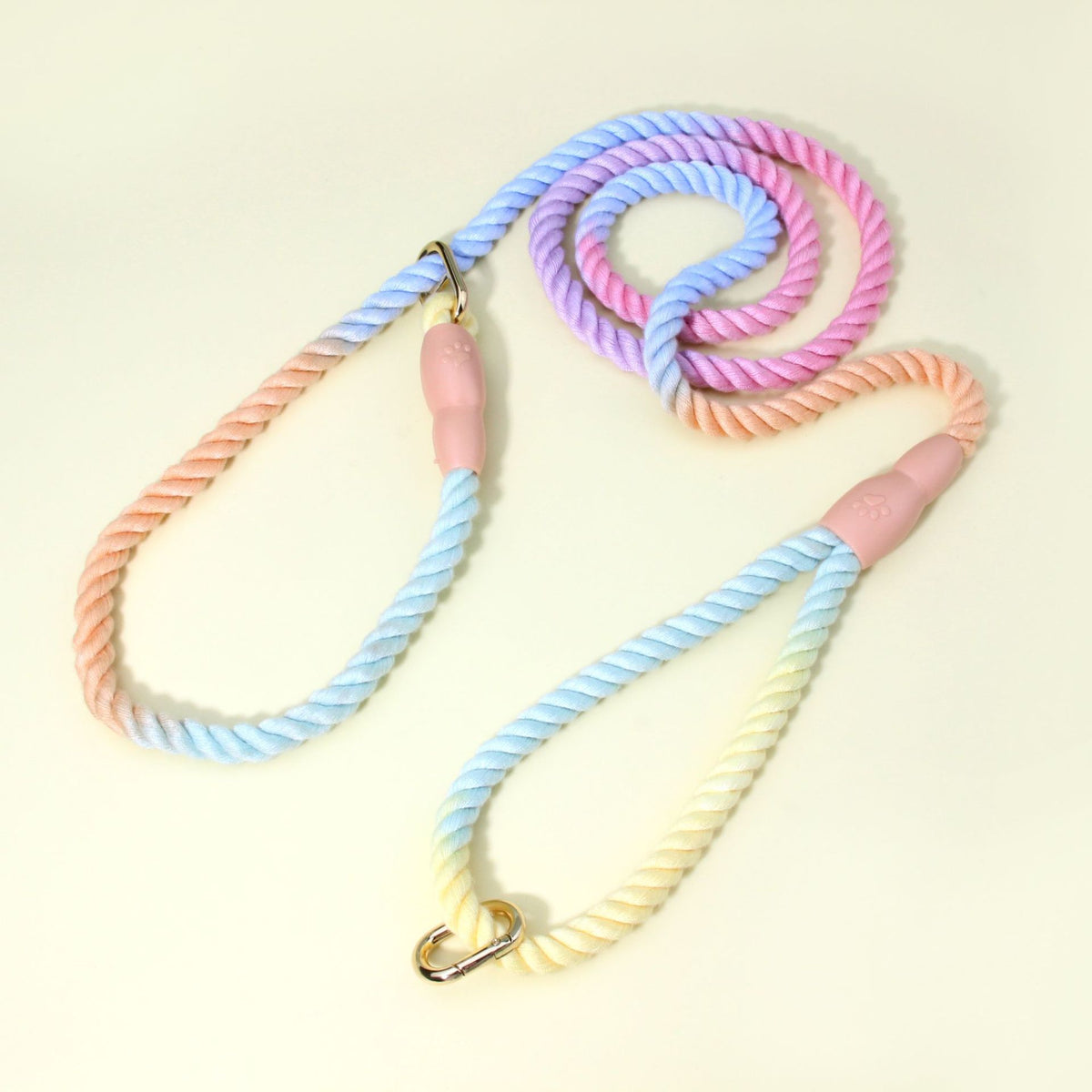 Colorful Vibrant Rainbow Ombre Rope Dog Leash - Durable Nylon P-Chain Slip Lead for Small &amp; Medium Breeds