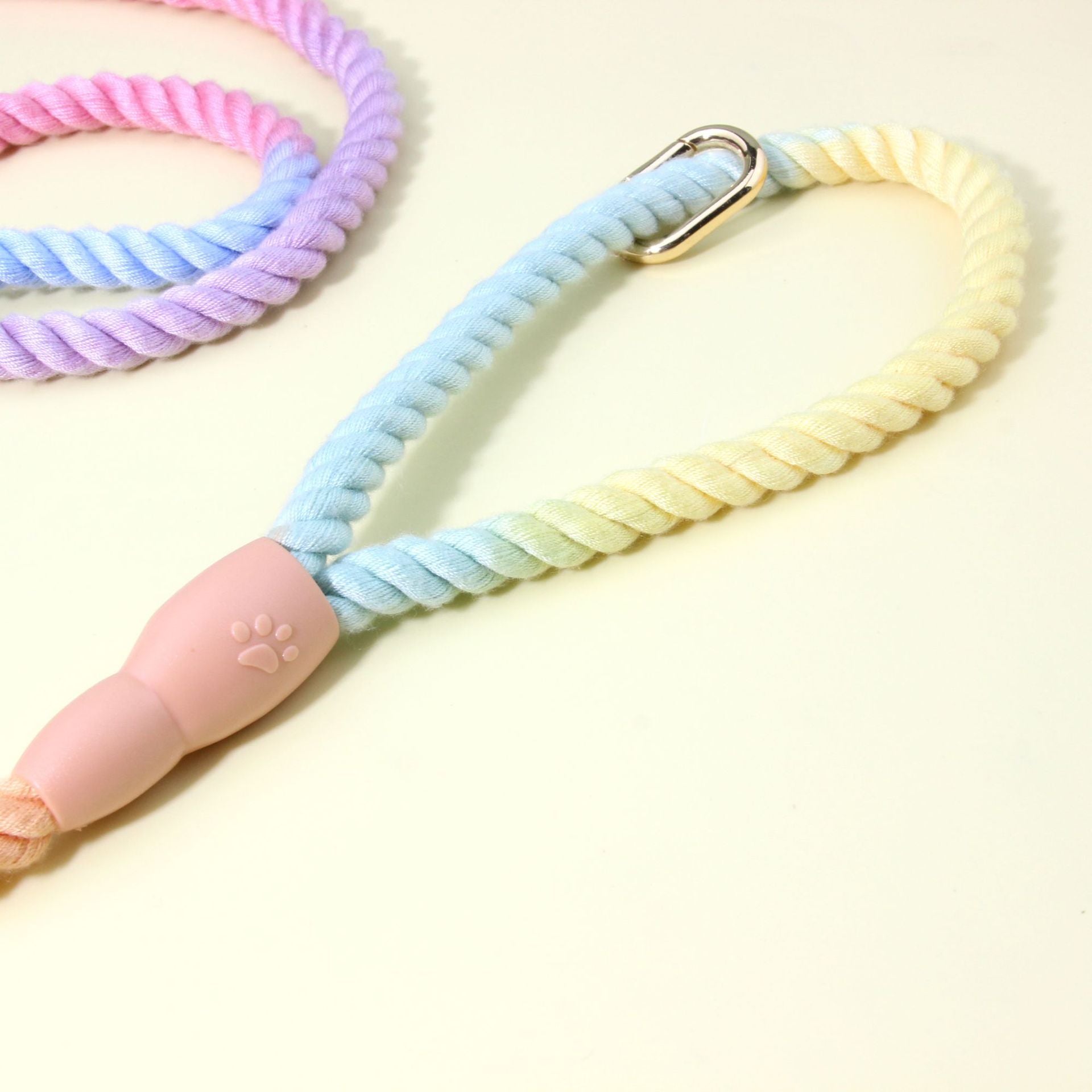 Colorful Vibrant Rainbow Ombre Rope Dog Leash - Durable Nylon P-Chain Slip Lead for Small & Medium Breeds