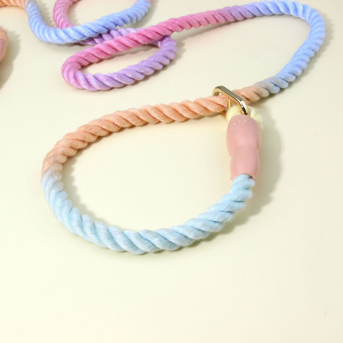 Colorful Vibrant Rainbow Ombre Rope Dog Leash - Durable Nylon P-Chain Slip Lead for Small & Medium Breeds