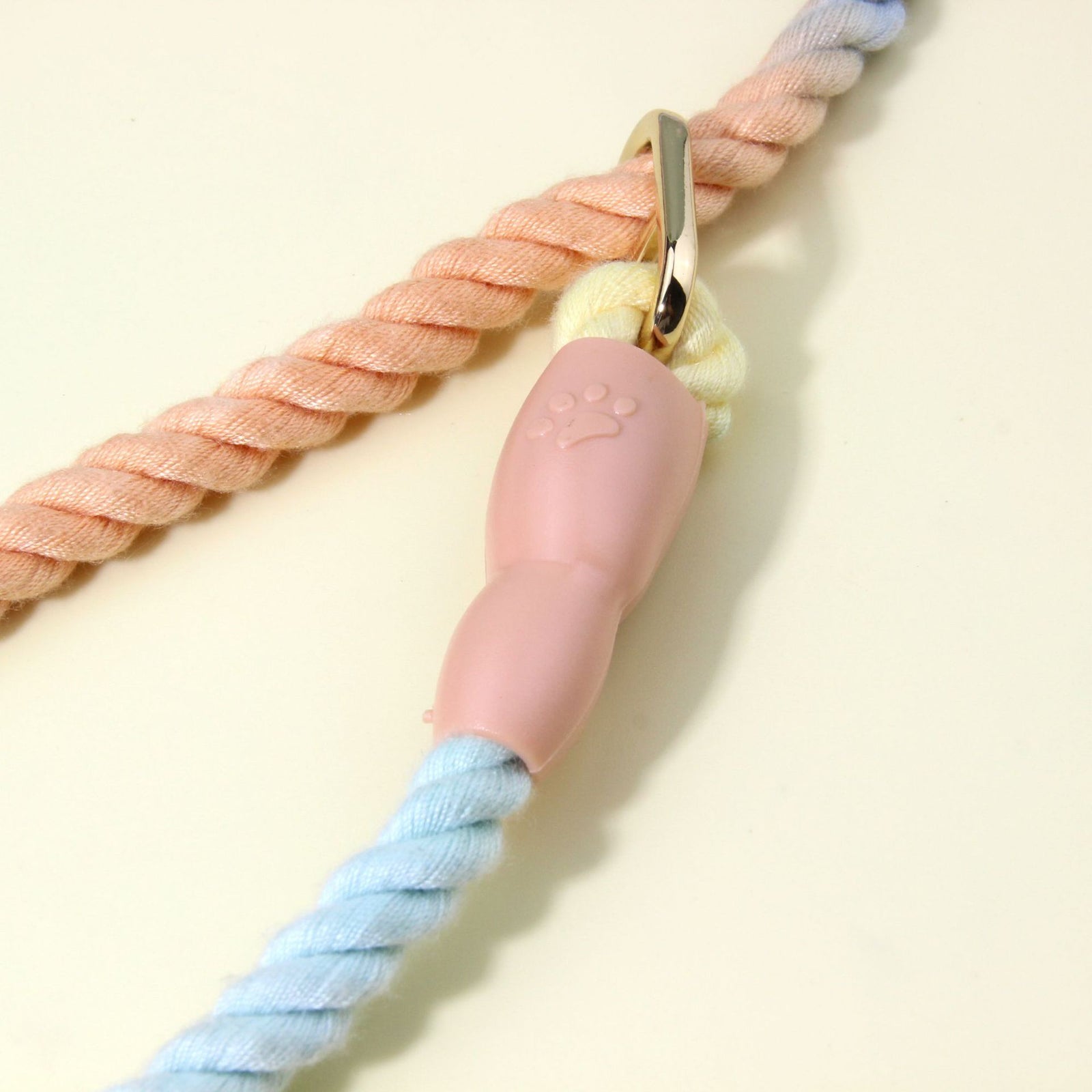 Colorful Vibrant Rainbow Ombre Rope Dog Leash - Durable Nylon P-Chain Slip Lead for Small & Medium Breeds