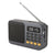 Portable Digital Music Player & FM Radio,4 Playback Modes, LED Flashlight(Gray)