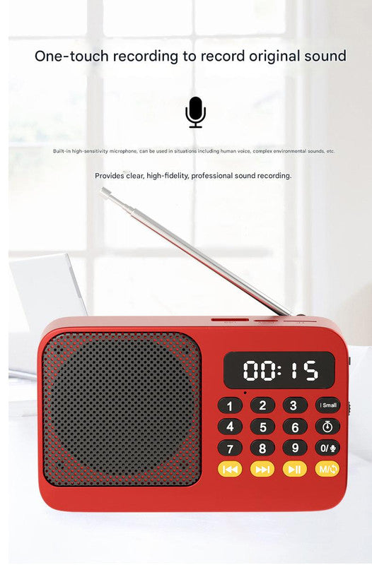 Portable Digital Music Player & FM Radio,4 Playback Modes, LED Flashlight(Gray)