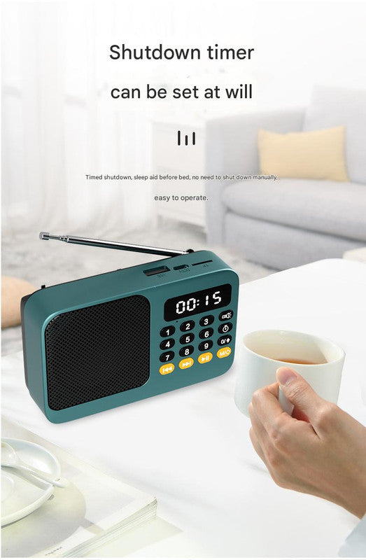 Portable Digital Music Player & FM Radio,4 Playback Modes, LED Flashlight(Blue)