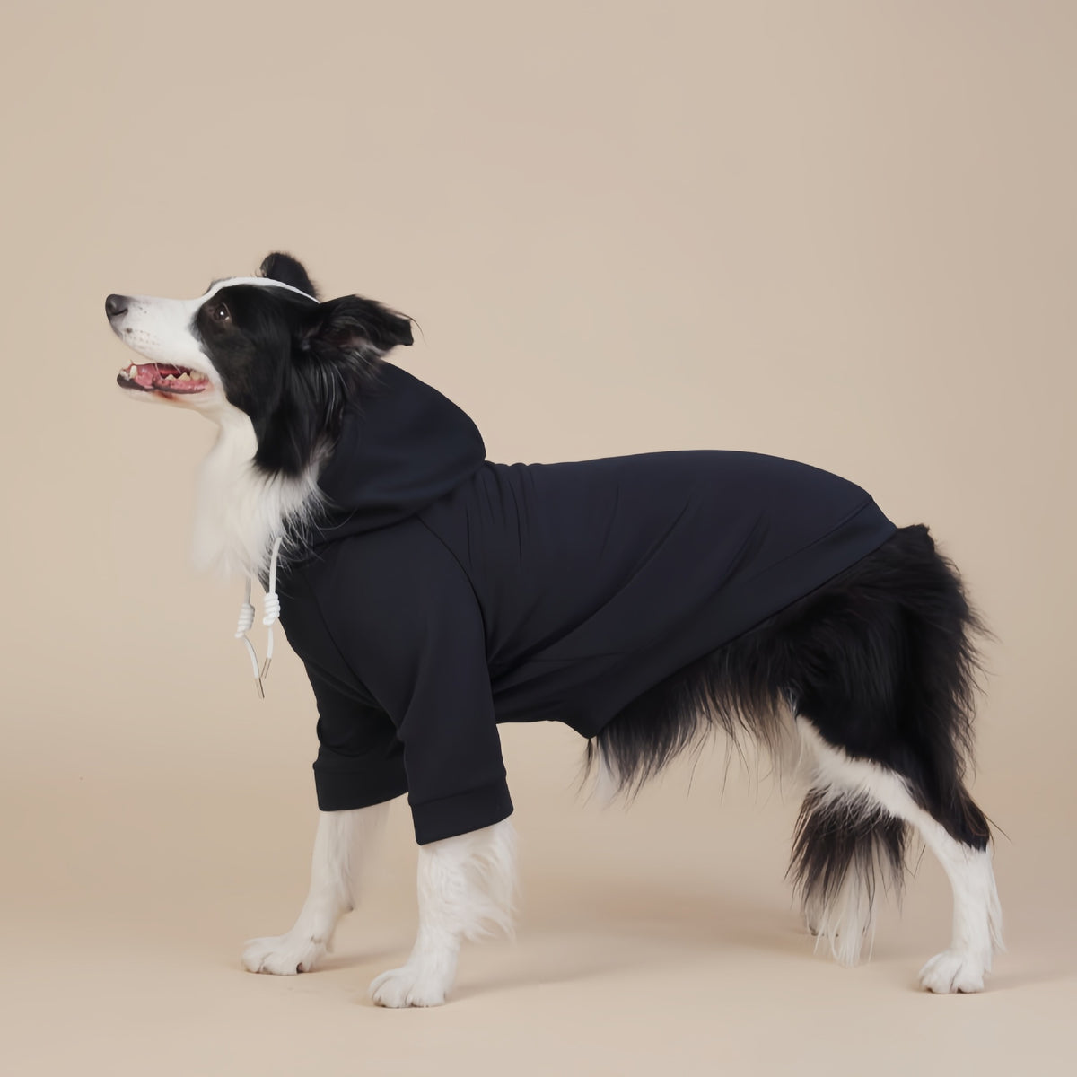 Black Classic Dog Sweatshirt with Hood & Drawstrings - For Large Dogs (Size : 6XL)