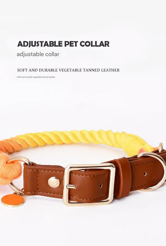 Premium Leather Pet Collar and Leash - Soft, Strong Braided Rope (Iridescent Red - Size M)
