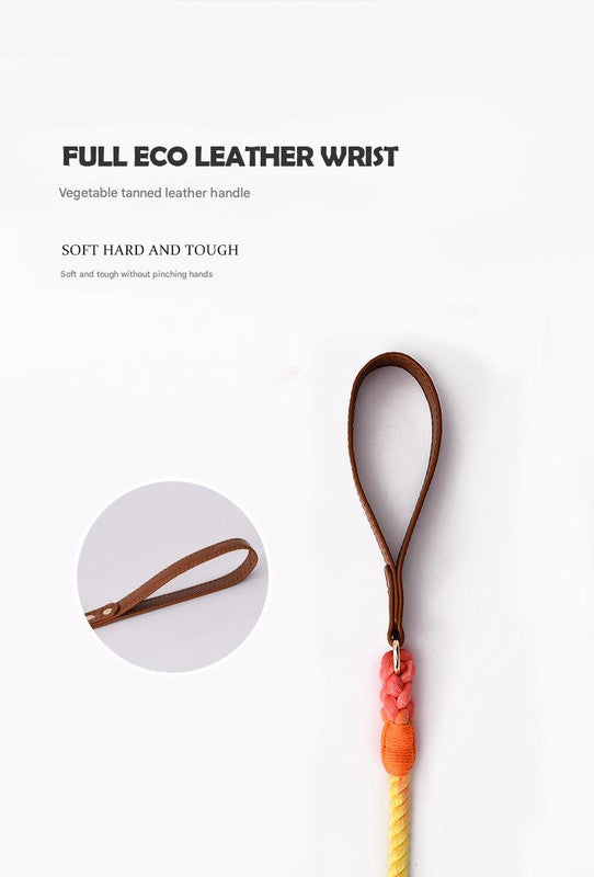 Premium Leather Pet Collar and Leash - Soft, Strong Braided Rope (Pink green - Size M)