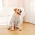 Autumn/Winter Dog Clothes - Grey Hoodie with Striped Hood & Baseball Bear (Size - 5XL)