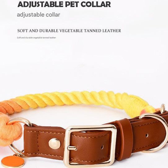 Premium Leather Pet Collar and Leash - Soft, Strong Braided Rope (Dark gray - Size M)