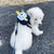 Green Adorable Monster Pet Backpack Harness - Small Dog & Cat Treat Pouch with Poop Bag Dispenser