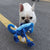 2 Pcs Green Interactive Plush Chameleon Dog Toy with Squeaker & Rope Legs - Durable Chew Toy for Medium/Large Dogs, Teeth Cleaning Texture, Machine Washable (10.2in)