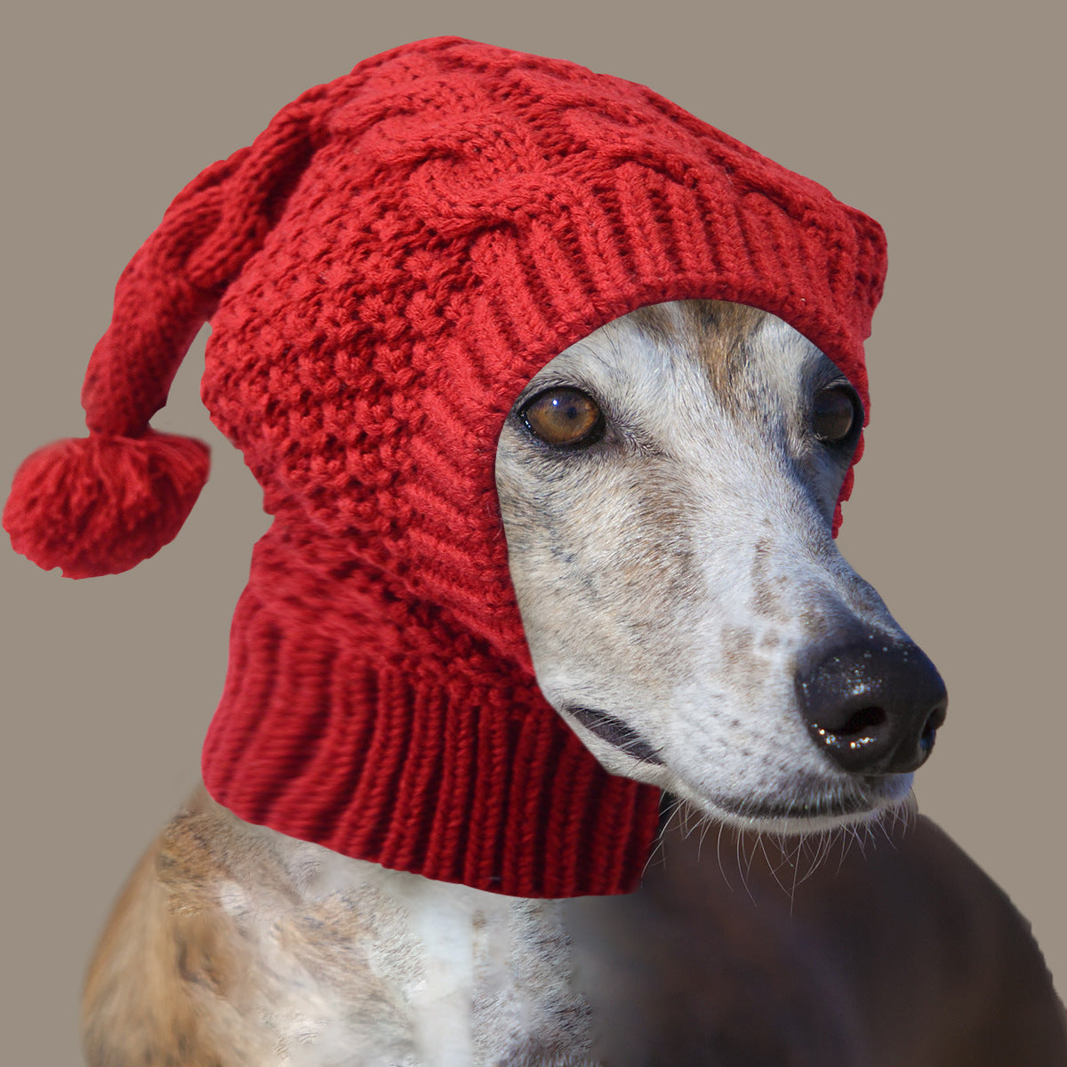 Size M Red Whimsical Knit Dog Hat with Pom-Pom - Cozy Winter Pet Beanie &amp; Snood
