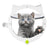 Black 4-Way Locking Cat Flap Door - Pet Entry Portal for Interior Doors, Walls & Cabinets