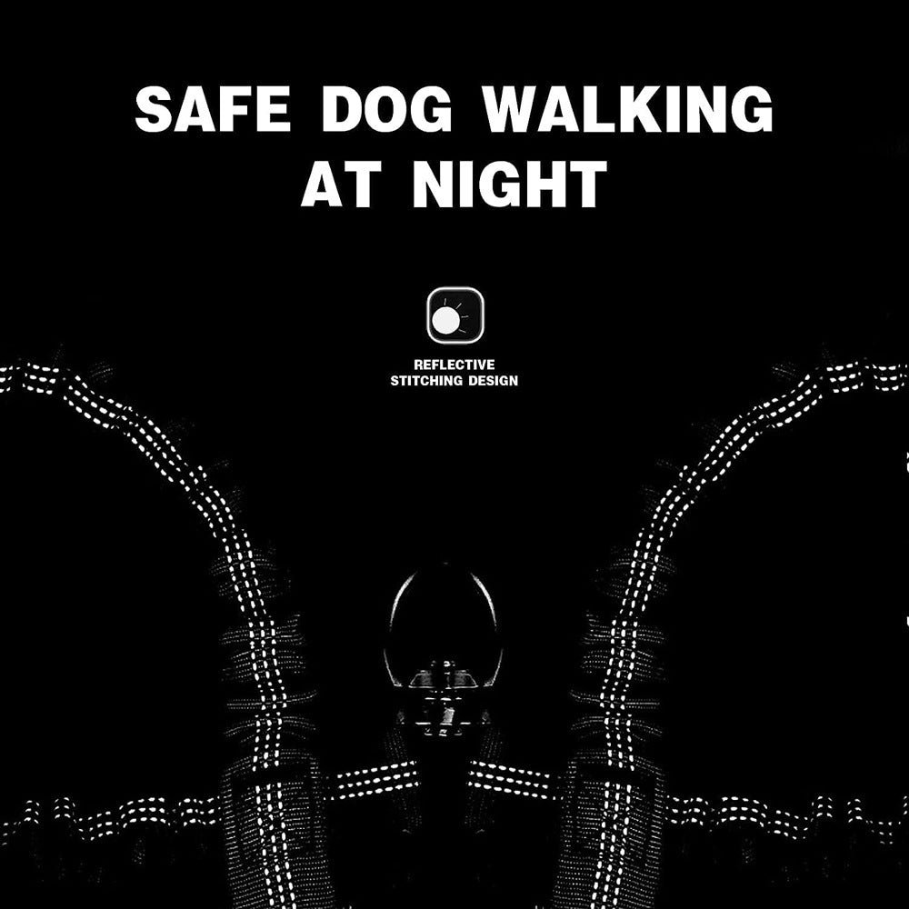 Green 3-in-1 Tangle-Free Dog Leash for 1-3 Dogs - Heavy Duty Bungee Coupler with Reflective Stitching & Padded Handle