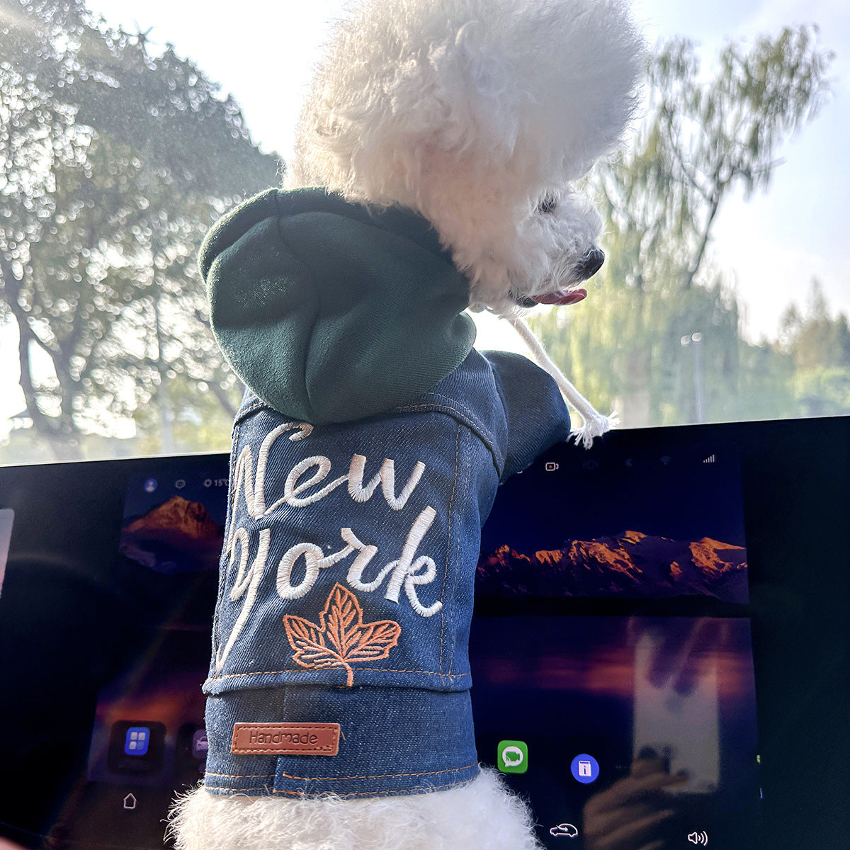 XS Around 2kg New York Denim Chic Denim Pet Vest - Stylish Jean Jacket for Dogs &amp; Cats - Spring, Summer &amp; Autumn Fashion