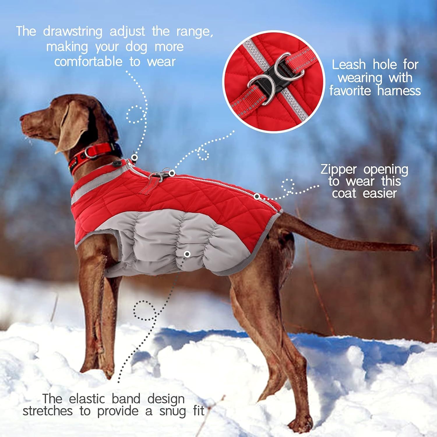 XS Red Grey Premium Winter Puffer Dog Coat - Windproof & Fleece-Lined Jacket for Cold Weather