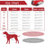 XS Red Grey Premium Winter Puffer Dog Coat - Windproof & Fleece-Lined Jacket for Cold Weather