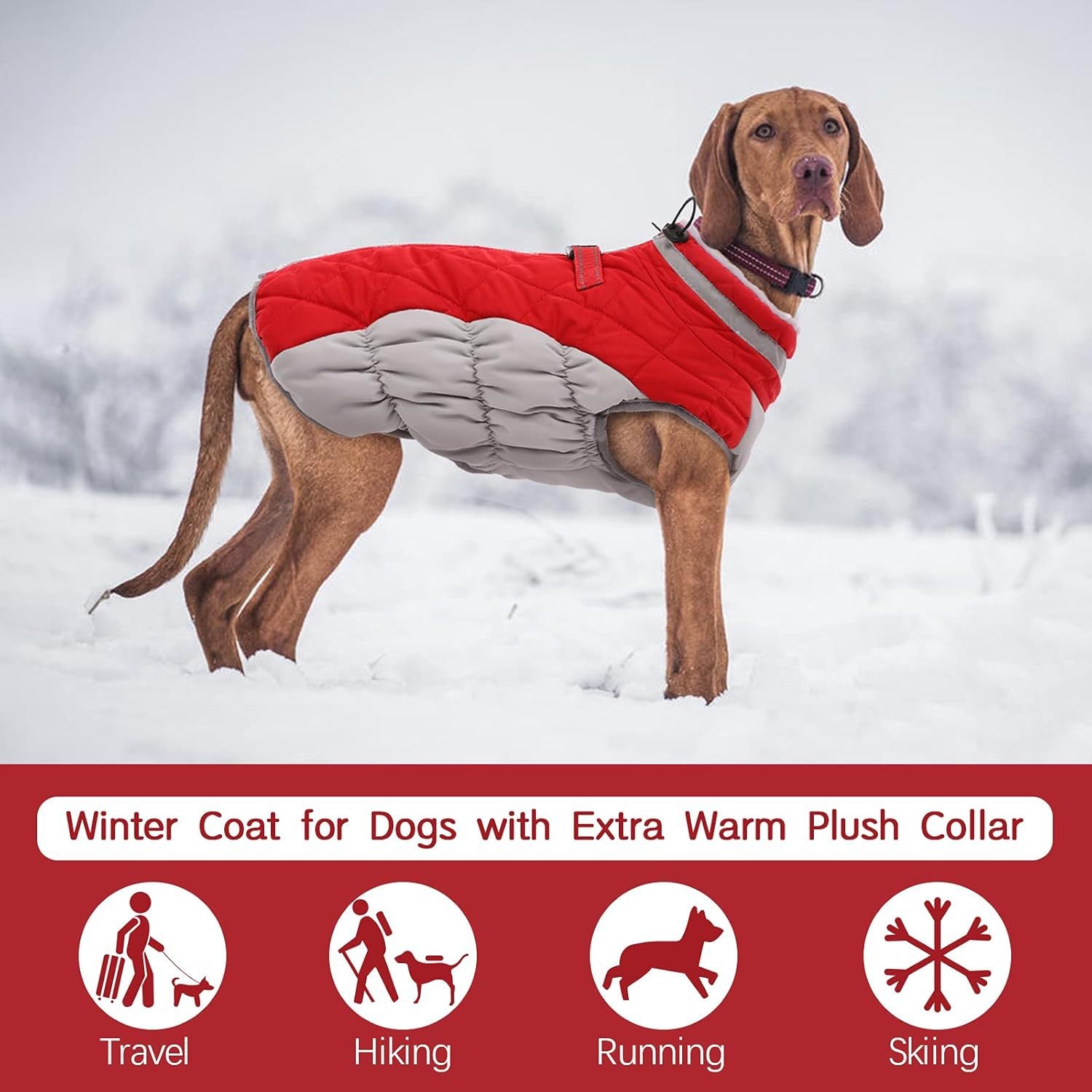 S Red Grey Premium Winter Puffer Dog Coat - Windproof & Fleece-Lined Jacket for Cold Weather