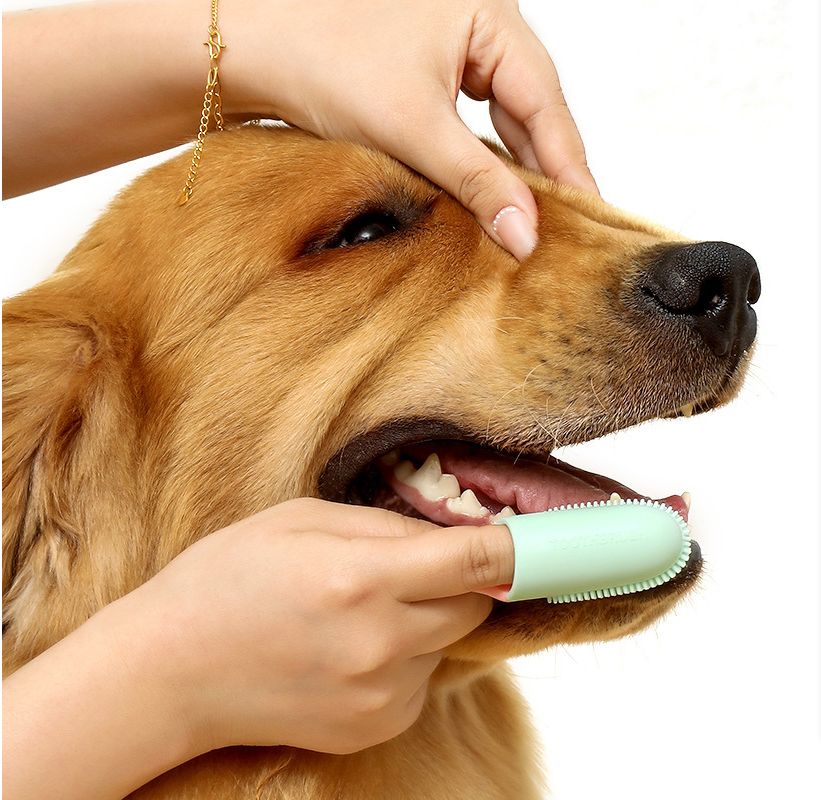 White 5-Pack Pet Finger Toothbrush Set for Dogs & Cats - Soft Silicone Dental Care Brush for Healthy Gums & Teeth