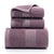 Premium Long-Staple Cotton Towel Set - 2 Hand Towels & 1 Bath Towel Gift Bundle(purple)