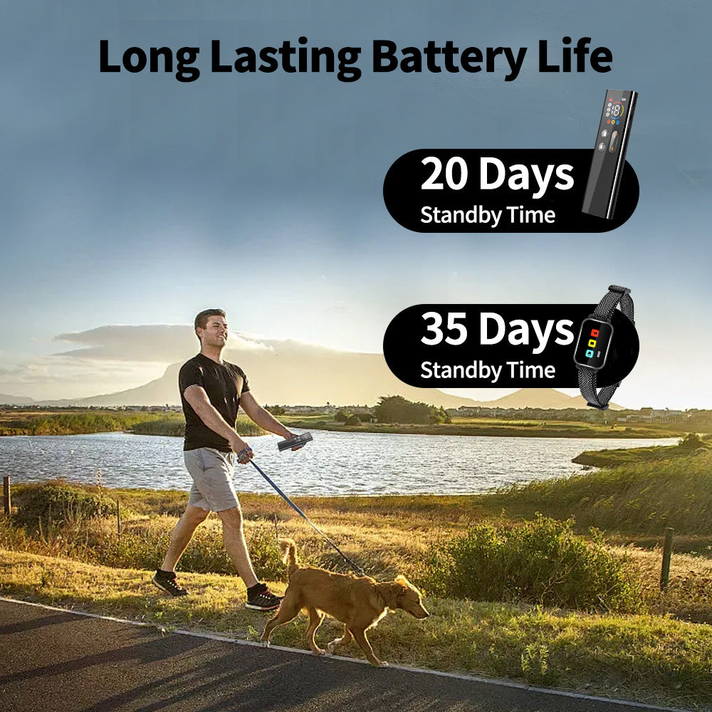 Rechargeable Dog Training Collar with Remote - 2600ft Range, 3 Modes(black)