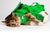 Size L Green Multi-Functional Cat Grooming Bag - Anti-Scratch Restraint Pouch for Nail Trimming and Vet Visits