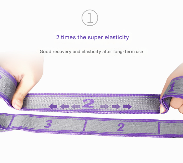 Blue and Purple 9-Loop Yoga Stretch Strap - Numbered Band for Flexibility and Physical Therapy