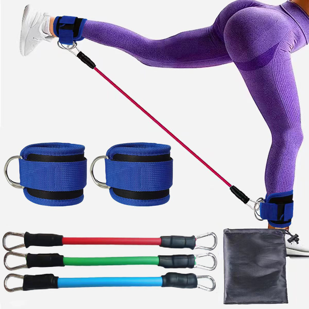 Blue  Silver SnapResistance Bands Set with Ankle Straps for Glute Kickbacks &amp; Leg Workouts (10-30lbs)