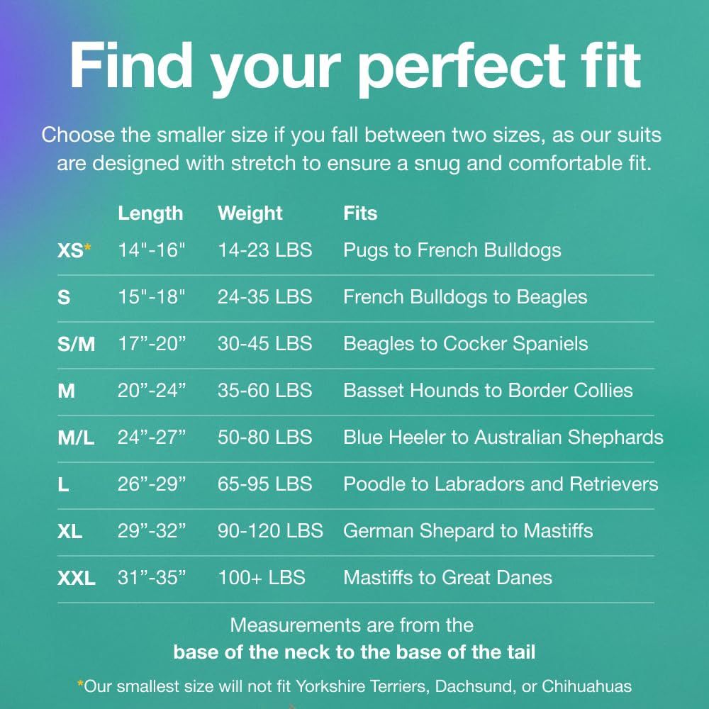 S Blue Premium Pet Physiological Suit - Comfortable & Breathable Bamboo Modal Recovery Suit