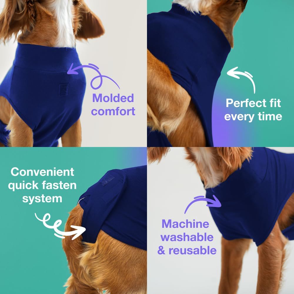 XXL Blue Premium Pet Physiological Suit - Comfortable & Breathable Bamboo Modal Recovery Suit