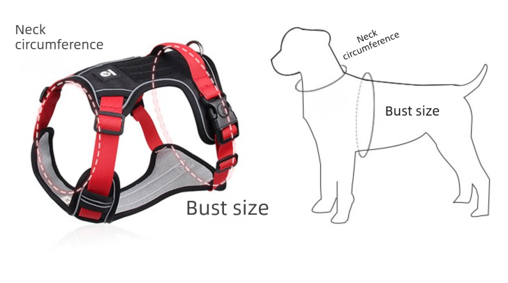 Blue L Adjustable No-Pull Dog Harness and Leash Set - Reflective & Padded Vest for Medium to Large Dogs