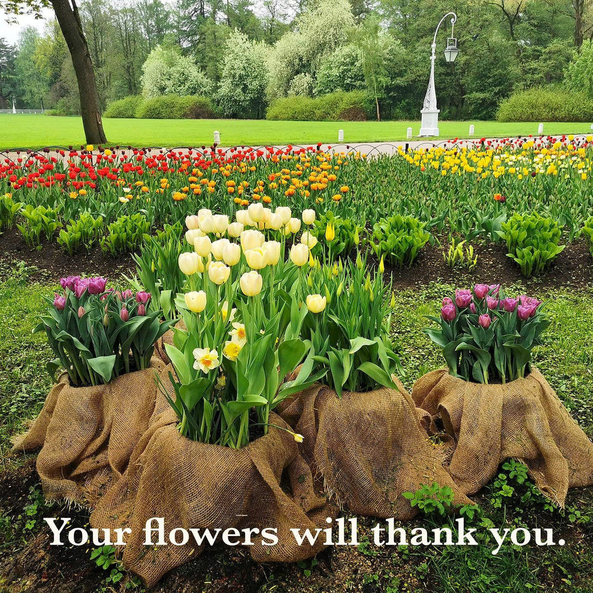 40in x 10ft Natural Jute Burlap Plant Blankets - High Density Winter Frost Protection for Australian Gardens and Trees