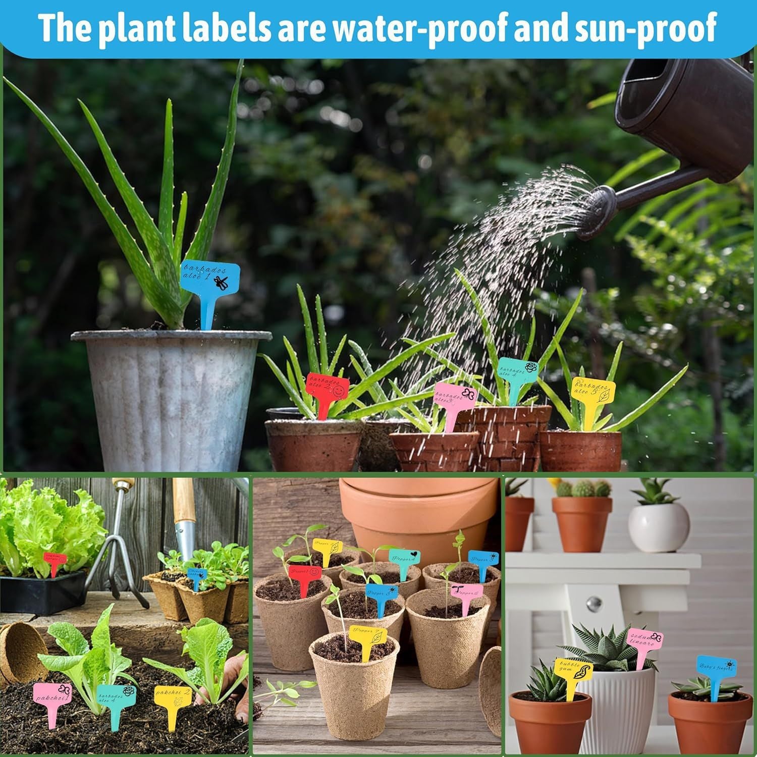 Red 200 Pack Waterproof Plant Labels T-Type Garden Tags with 2 Marking Pens for Succulents Flowers Seedlings and Aussie Home Gardening Identification