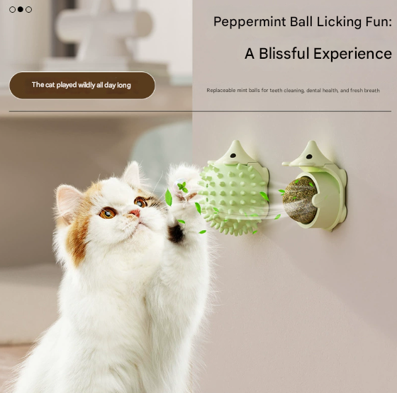 Blue 4 Pack Hedgehog Catnip Toys Self Grooming Face Scratcher & Teething Chew Toy Soft Rubber Interactive Play Set for Kittens