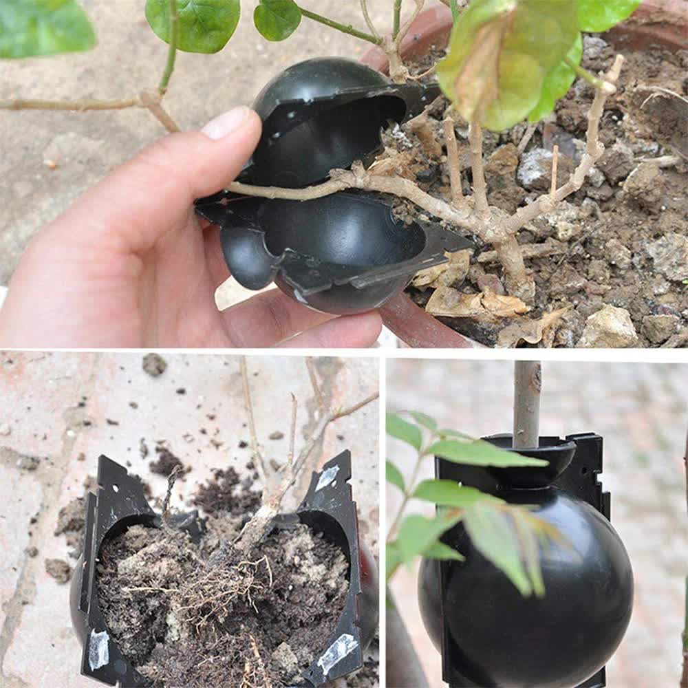 5-Pack Transparent Reusable Plant Air Layering Propagation Pod (Diameter: 5cm) - Anti-Waterlogging Grafting Root Ball Rooting Device for Flower & Fruit Trees
