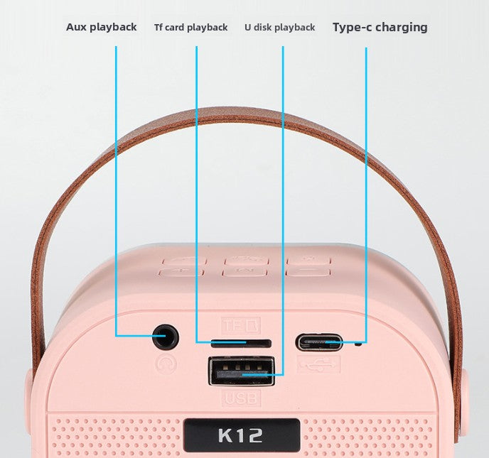 Pink double wheat Portable Mini Karaoke Machine with Wireless Microphone - Bluetooth Speaker for Kids & Adults