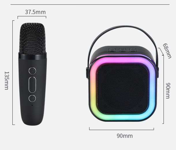 Blue double wheat Portable Mini Karaoke Machine with Wireless Microphone - Bluetooth Speaker for Kids & Adults