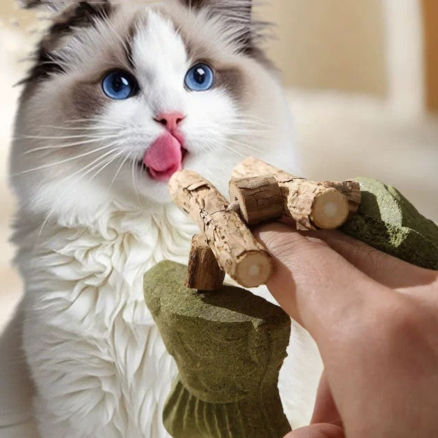 Green 5 Pack Cat Catnip Toys Fish Bone Shaped Silvervine Chew Sticks for Teeth Cleaning and Interactive Play