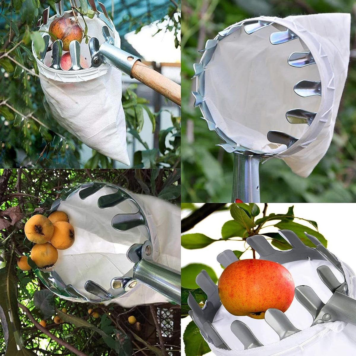 Green Telescopic Fruit Picker Tool with Stainless Steel Extension Pole Carbon Steel Head and Large Bag for Apples Peaches Oranges Australian Home Orchards(2.0m)