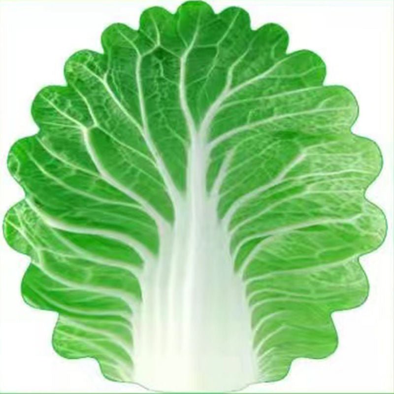 Cute Cabbage-Shaped Fleece Blanket – Fun and Cozy Throw for Naps, Office Use, Air Conditioning, or Baby Swaddling (Green &amp; White)(150cm*150cm)